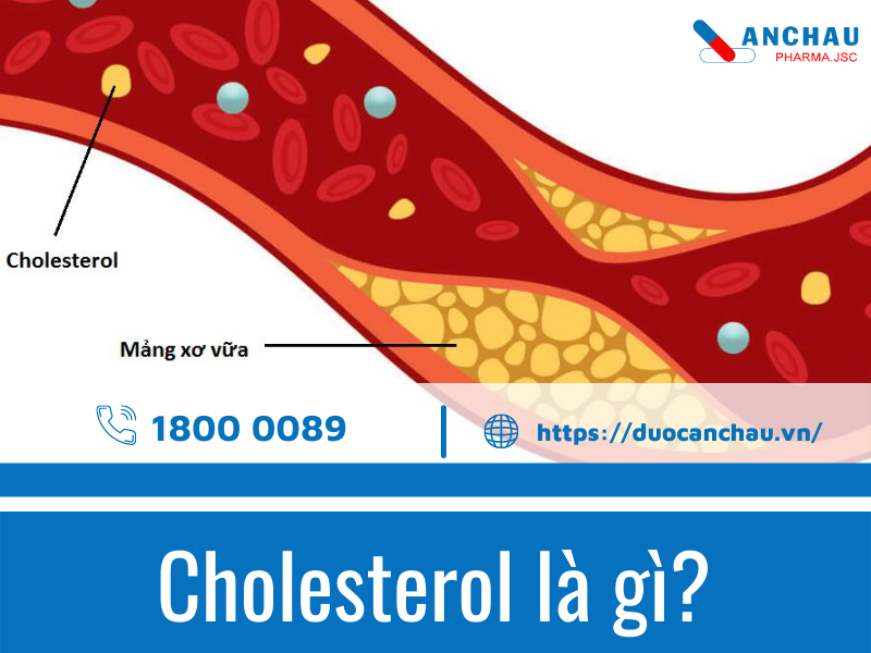 Cholesterol là gì